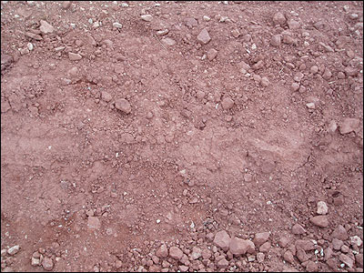 Picture of soil