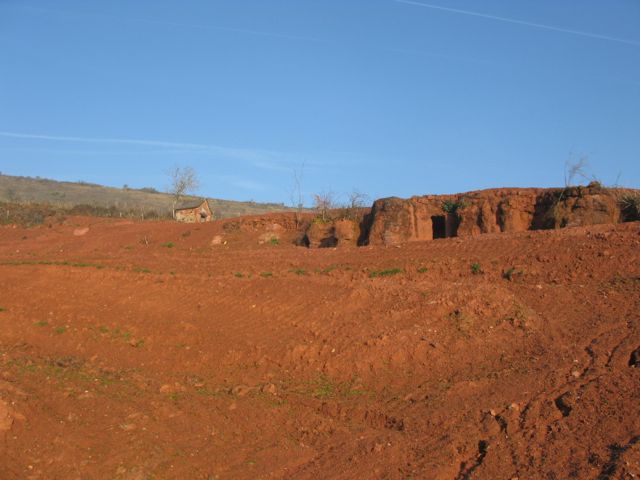 Picture of limestone soil