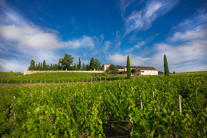 Picture of the Domaine by Fabrice Leseigneur
